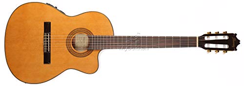 Ibanez GA5TCE-AM - Guitarra clásica corte cutaway